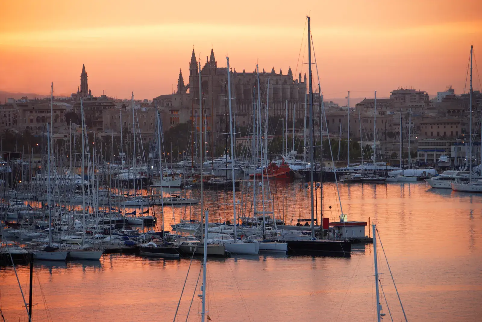 Porto turistico e cattedrale di Palma di Maiorca all'alba