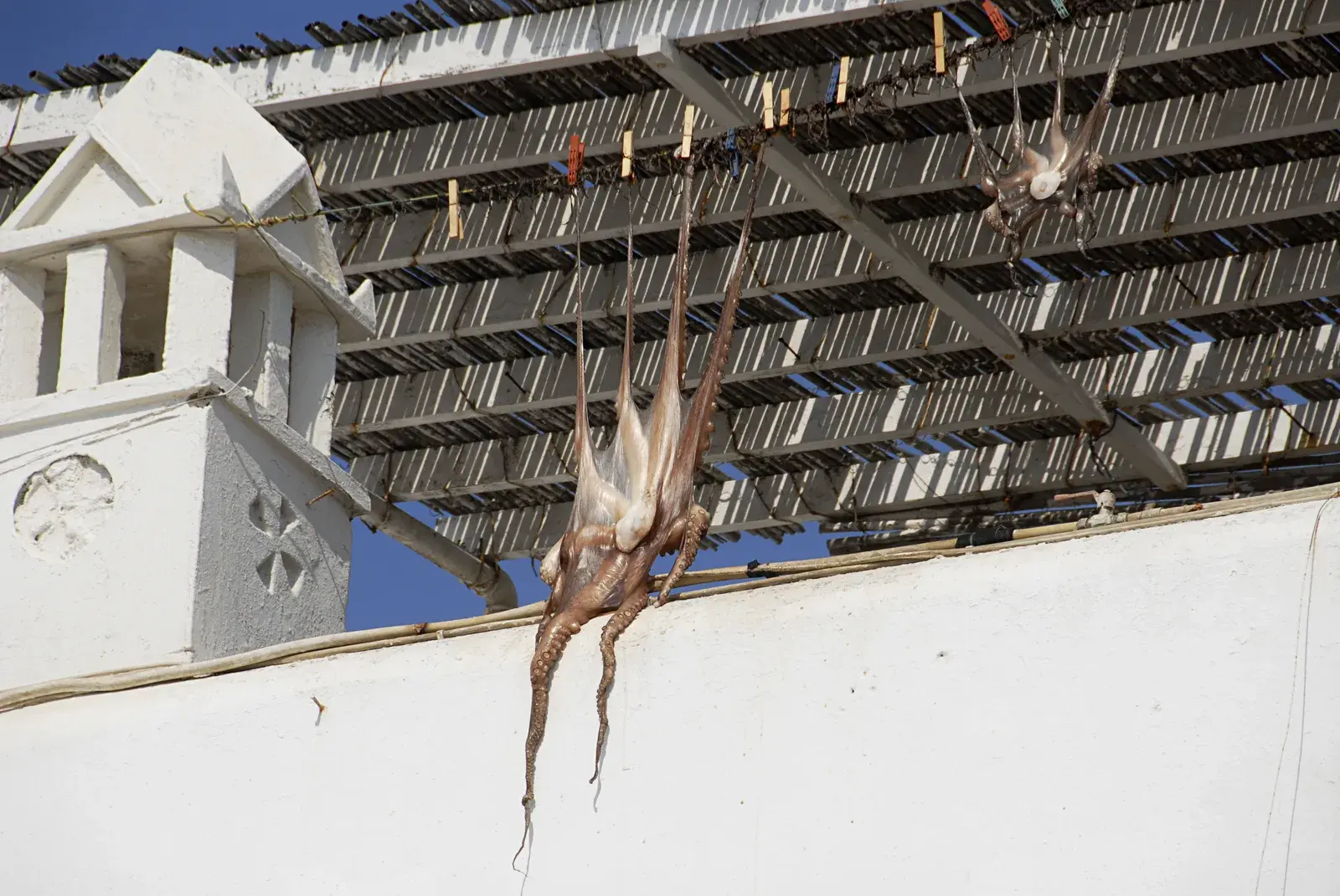 Ein Oktopus wird auf Mykonos in der Sonne getrocknet
